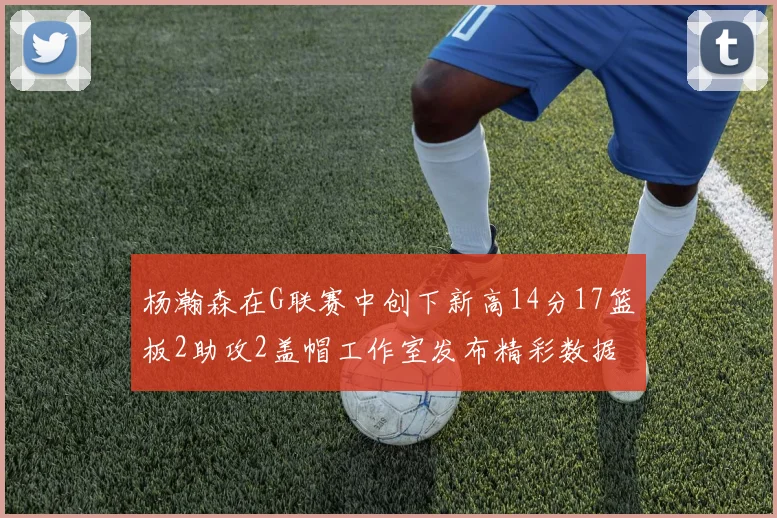 杨瀚森在G联赛中创下新高14分17篮板2助攻2盖帽工作室发布精彩数据海报