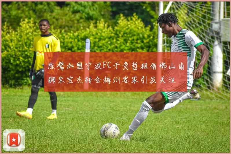 陈骜加盟宁波FC于贵哲租借佛山南狮朱宝杰转会梅州客家引发关注