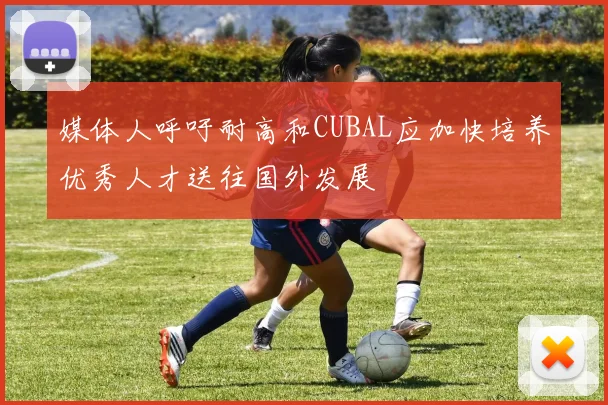 媒体人呼吁耐高和CUBAL应加快培养优秀人才送往国外发展
