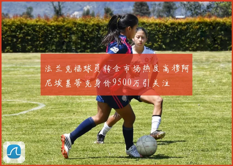 法兰克福球员转会市场热度高穆阿尼埃基蒂克身价9500万引关注